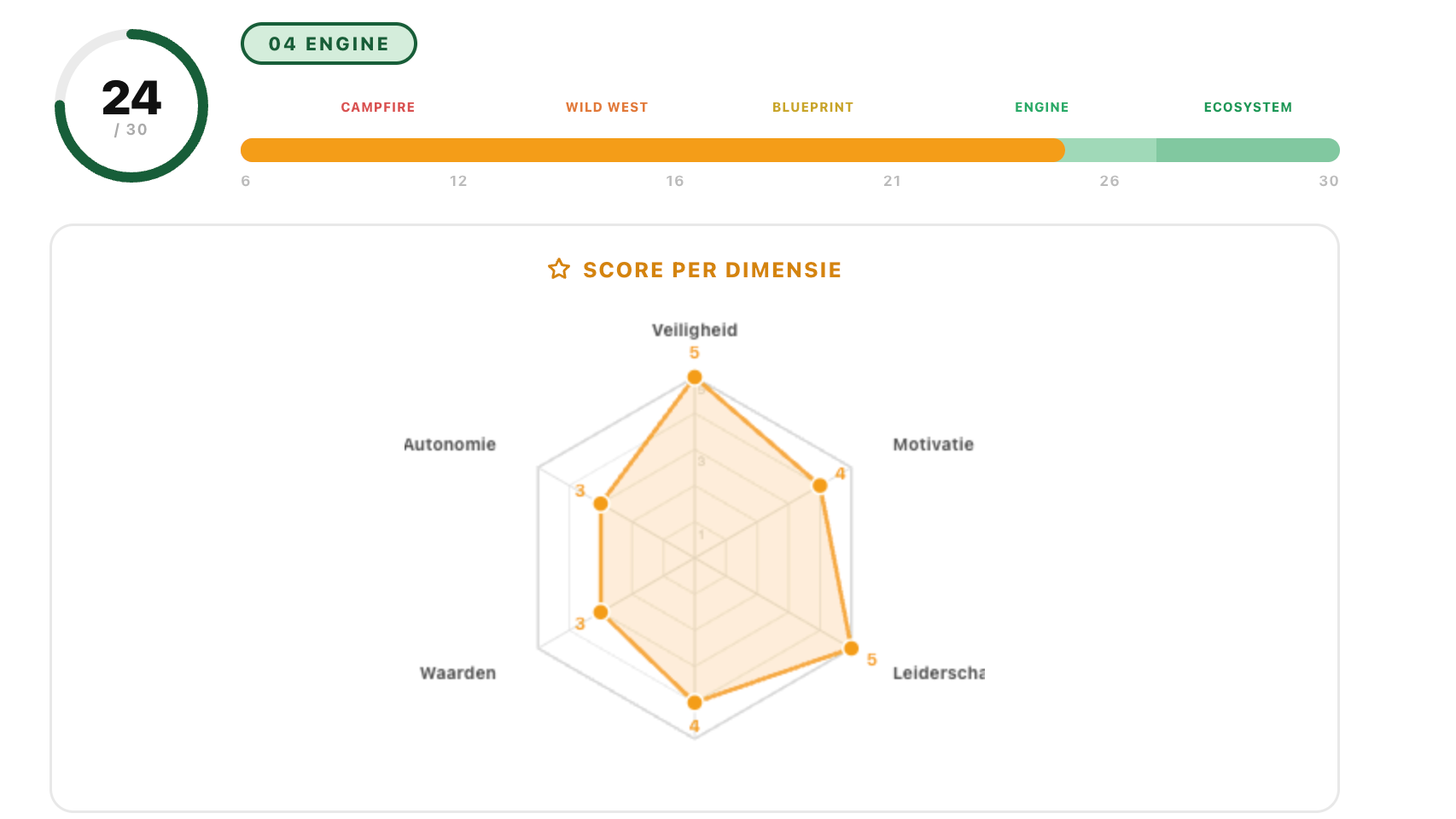 De vijf culture levels, van Campfire tot Ecosystem